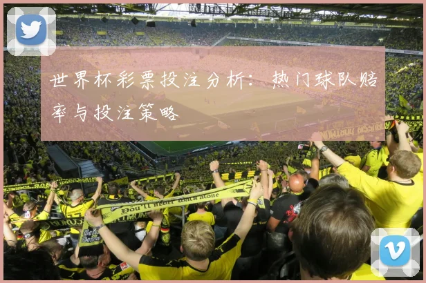 世界杯彩票投注分析：热门球队赔率与投注策略